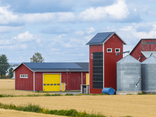 Aurinkopaneelit maatilalle